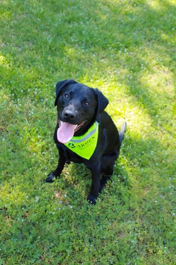On-site dog park and wash